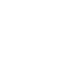 in2tel-voice-icon
